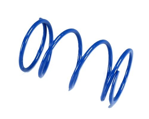 PLN243082 - Molla Di Contrasto Polini