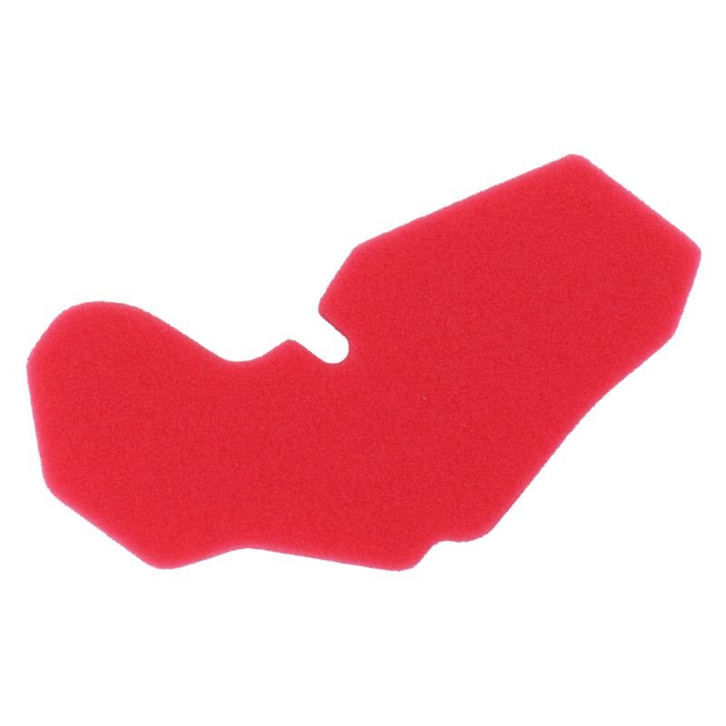 Filtre à air Honda Wallaroo type origine