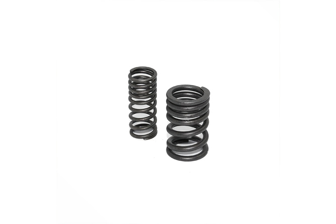 Ressorts de soupape Pit Bike / Dirt Bike moteur Zongshen 190cc