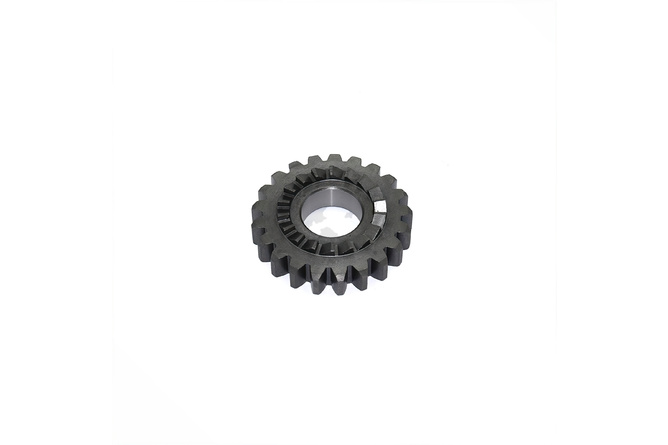 Pignon d'arbre de kick Pit Bike / Dirt Bike moteur Zongshen 190cc