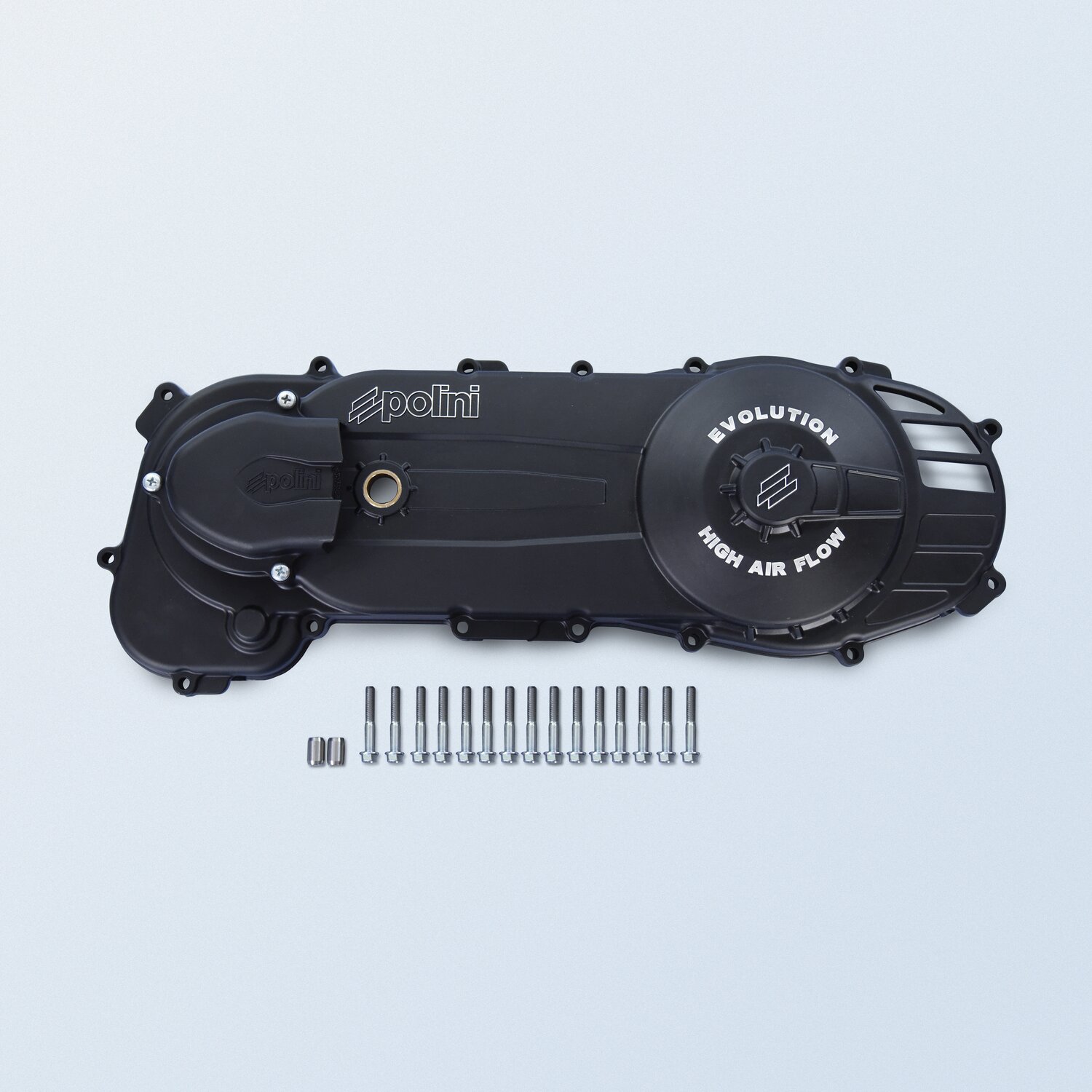 Carter de kick Polini Evolution Piaggio court