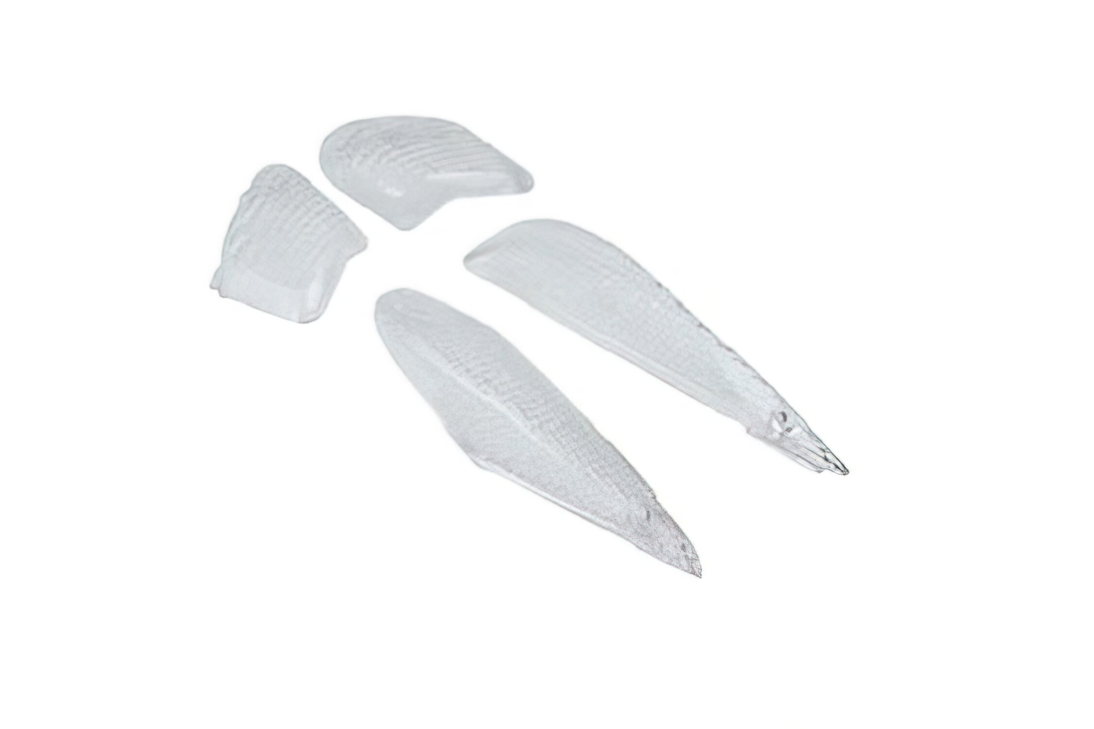 Set 4 cabochons clignotants transparent MBK Next / BW's NG après 1999
