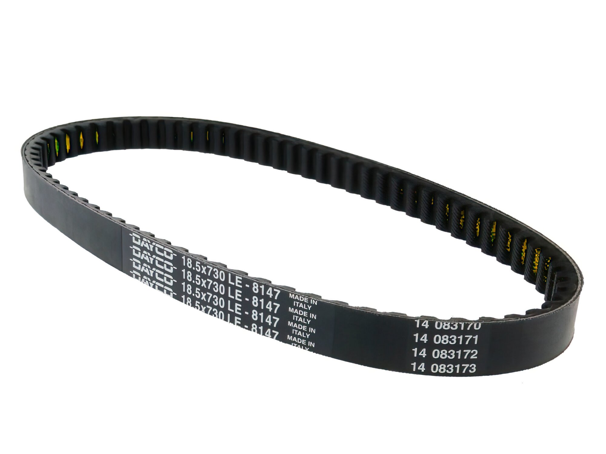 Courroie Dayco Typ 732mm Runner FXR 180
