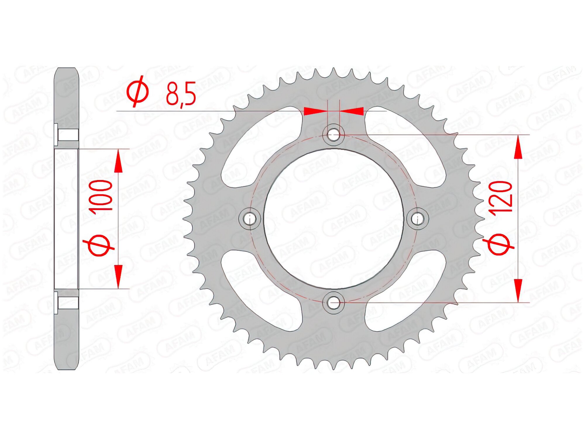 Couronne AFAM Beta 50 RR Factory