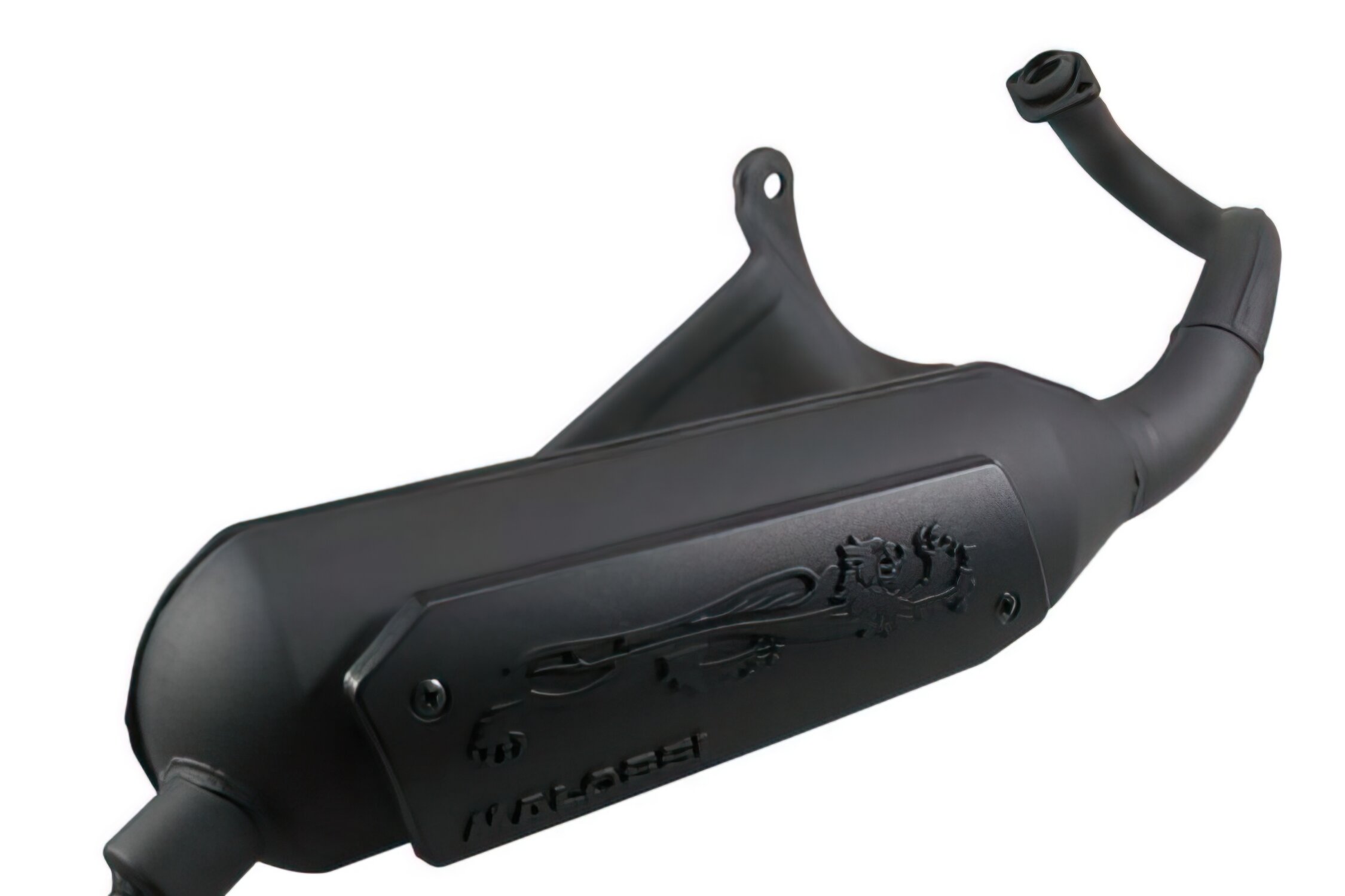Pot d'échappement Malossi Wild Lion Piaggio Zip